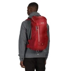 Regatta Blackfell III 25L Rucksack (Delhi Red/Light Steel) 14 Regatta Blackfell III 25L Rucksack (Delhi Red/Light Steel) -Sports Shop k24085cfa3b8111b60e66c882a71f5350