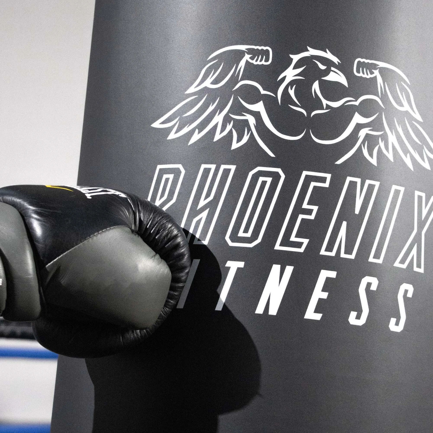 Phoenix FULL LENGTH FREE STANDING PUNCHBAG 5 Phoenix FULL LENGTH FREE STANDING PUNCHBAG - Image 3