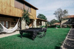 Table Tennis Open Table Cover -Sports Shop k368bba85a74bc5a0d078fcc0c228fbc1