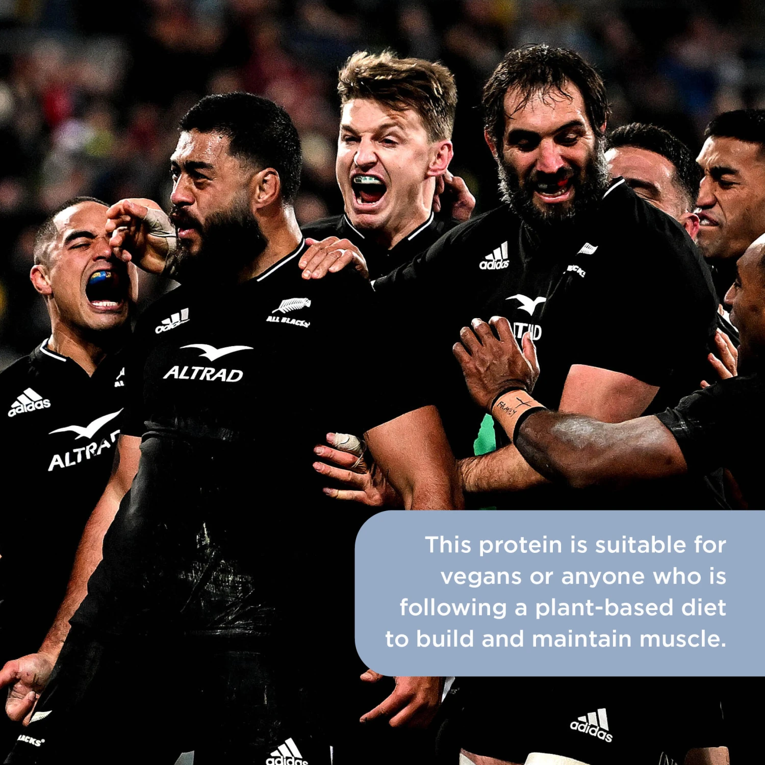 Healthspan Elite All Blacks Plant Protein Vegan Blend 750g Unflavoured Vegan 6 Healthspan Elite All Blacks Plant Protein Vegan Blend 750g Unflavoured Vegan - Image 4