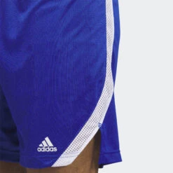 ADIDAS Icon Squad Shorts 40 ADIDAS Icon Squad Shorts -Sports Shop k597f3b67013c274ee52fec3550b45bf8