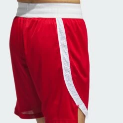 ADIDAS Icon Squad Shorts 31 ADIDAS Icon Squad Shorts -Sports Shop k676e458d58fd39a1af033c3a1757a6d5
