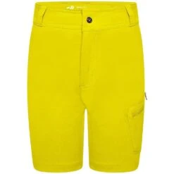 Dare 2b Childrens/Kids Reprise II Shorts (Bluestone) 34 Dare 2b Childrens/Kids Reprise II Shorts (Bluestone) -Sports Shop k70d12dfef91d98309624bd762917269f