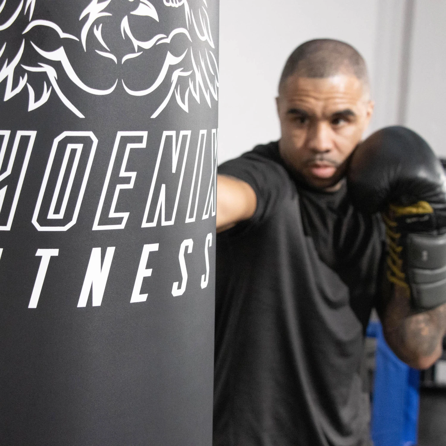 Phoenix FULL LENGTH FREE STANDING PUNCHBAG 4 Phoenix FULL LENGTH FREE STANDING PUNCHBAG - Image 2