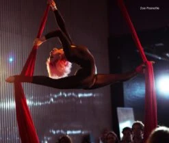 Firetoys Aerial Silk (Aerial Fabric / Tissus) -Sports Shop k91a964ca261623fe26e48a4a38341c8c