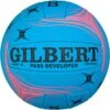 Gilbert Pass Developer Ball, Blue / Pink