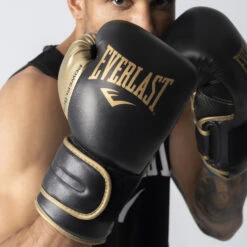 Everlast Boxing Gloves Powerlock
