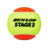 Dunlop Low Pressure Mini Tennis Balls (Pack Of 60) (Orange) -Sports Shop ke2816eaeb19a960f5ade9700274f0e06
