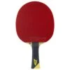 Tibhar Master Yellow Edition Table Tennis Bat (Flared) -Sports Shop ke53dd0c6bf9270b22e4deffe52ee9fe5
